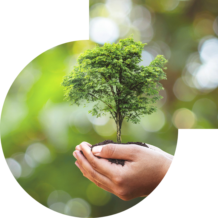 關懷人類、文化、環境與社會